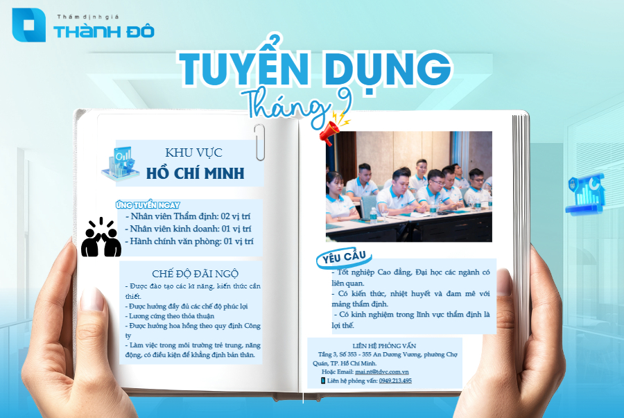 lĩnh vực hoạt động